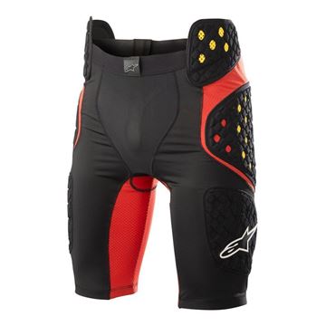 Picture of ALPINE BIONIC PRO SHORTS SMALL